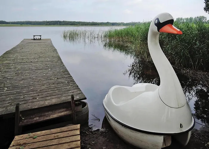 In By With Natural *